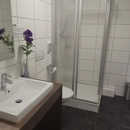 Boardinghouse Zentral Am Burgplatz * ジンスハイム