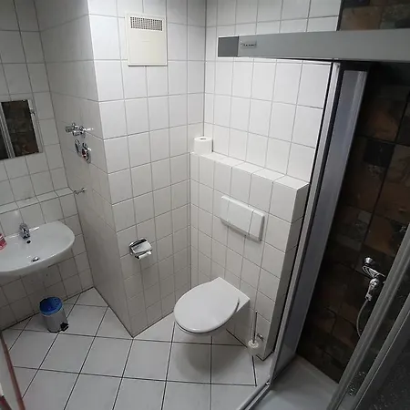 Boardinghouse Zentral Am Burgplatz * ジンスハイム